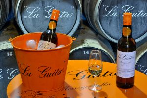 manzanilla-feria-marketing-gastronomico